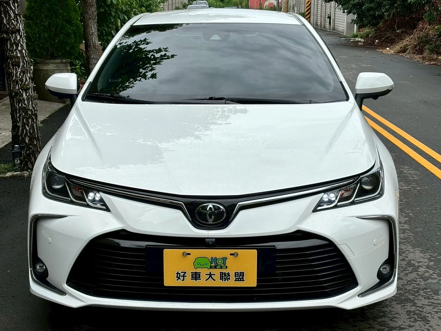 線上賞車
